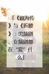 《藏海传》与《折腰》：男频剧、女频剧都在“爱”什么