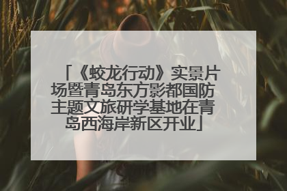 《蛟龙行动》实景片场暨青岛东方影都国防主题文旅研学基地在青岛西海岸新区开业