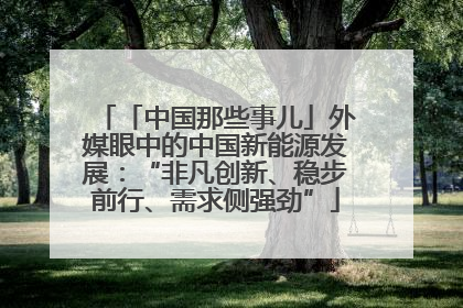 「中国那些事儿」外媒眼中的中国新能源发展：“非凡创新、稳步前行、需求侧强劲”