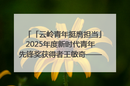 「云岭青年挺膺担当」2025年度新时代青年先锋奖获得者王敏奇——澜沧江上好渔人