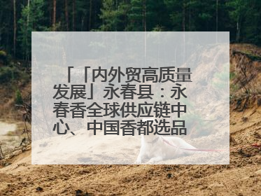「内外贸高质量发展」永春县：永春香全球供应链中心、中国香都选品中心相继运营——一根香“点燃”百亿产业