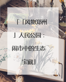 「风物郑州」人民公园：闹市中的生态宝藏