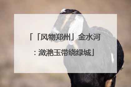 「风物郑州」金水河：潋滟玉带绕绿城