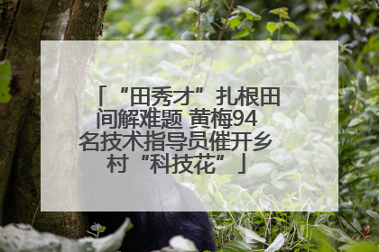 “田秀才”扎根田间解难题 黄梅94名技术指导员催开乡村“科技花”