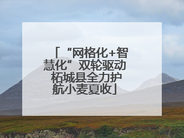 “网格化+智慧化”双轮驱动 柘城县全力护航小麦夏收