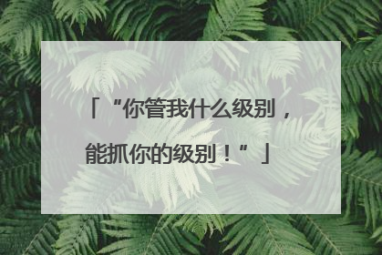 “你管我什么级别，能抓你的级别！”