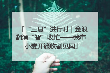 “三夏”进行时｜金浪翻涌“智”收忙——我市小麦开镰收割见闻