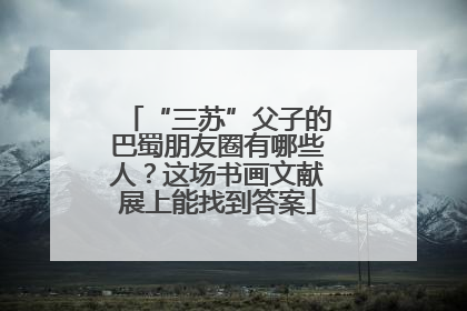 “三苏”父子的巴蜀朋友圈有哪些人？这场书画文献展上能找到答案