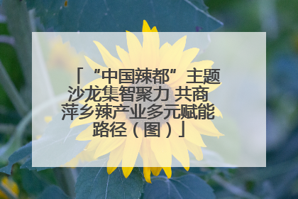 “中国辣都”主题沙龙集智聚力 共商萍乡辣产业多元赋能路径（图）