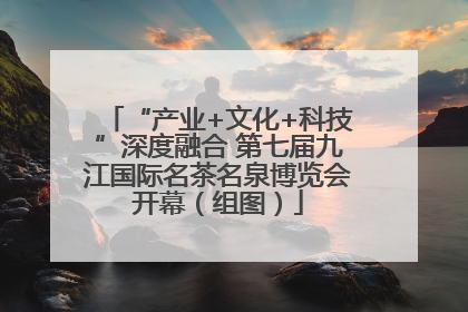 “产业+文化+科技”深度融合 第七届九江国际名茶名泉博览会开幕（组图）