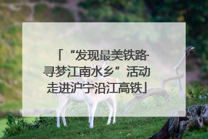 “发现最美铁路·寻梦江南水乡”活动走进沪宁沿江高铁