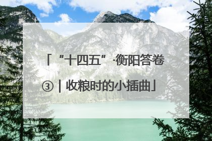 “十四五”·衡阳答卷③｜收粮时的小插曲