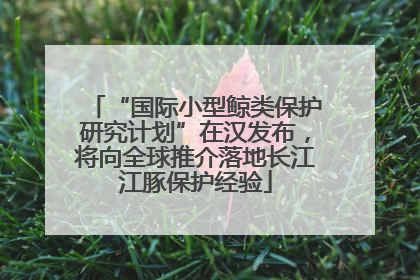“国际小型鲸类保护研究计划”在汉发布，将向全球推介落地长江江豚保护经验
