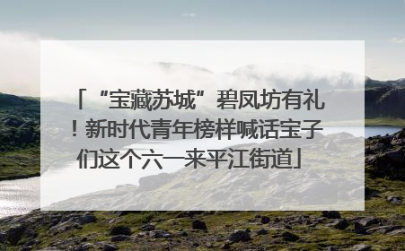 “宝藏苏城”碧凤坊有礼！新时代青年榜样喊话宝子们这个六一来平江街道