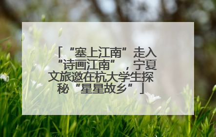 “塞上江南”走入“诗画江南”，宁夏文旅邀在杭大学生探秘“星星故乡”