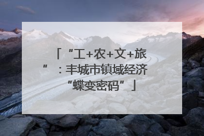 “工+农+文+旅”：丰城市镇域经济“蝶变密码”