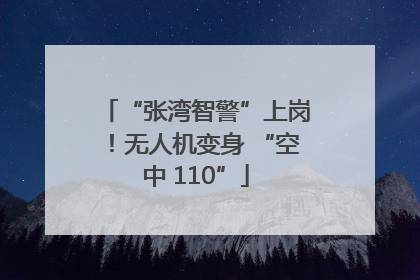 “张湾智警”上岗！无人机变身 “空中 110”