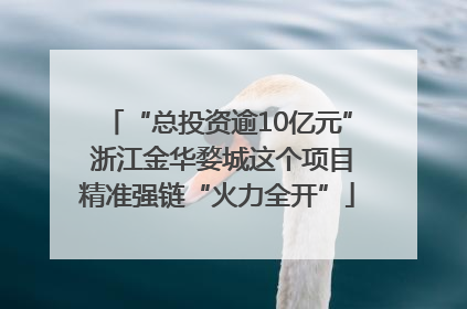 “总投资逾10亿元” 浙江金华婺城这个项目精准强链“火力全开”
