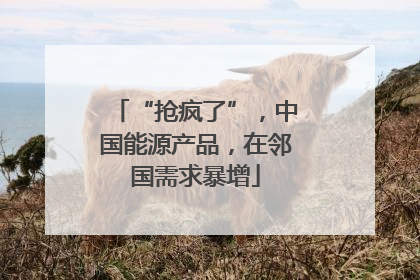 “抢疯了”，中国能源产品，在邻国需求暴增