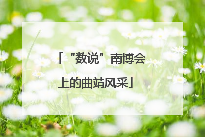 “数说”南博会上的曲靖风采