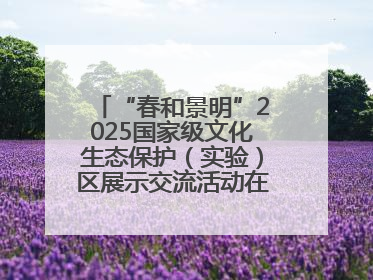 “春和景明”2025国家级文化生态保护（实验）区展示交流活动在洛举办