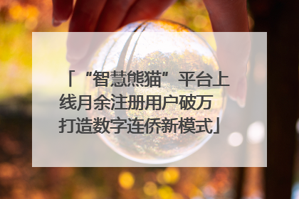 “智慧熊猫”平台上线月余注册用户破万 打造数字连侨新模式