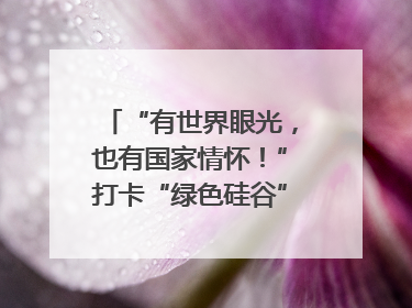 “有世界眼光，也有国家情怀！”打卡“绿色硅谷”，博主新解乐山｜网络名人四川行