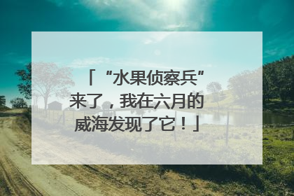 “水果侦察兵”来了，我在六月的威海发现了它！