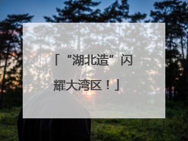 “湖北造”闪耀大湾区！