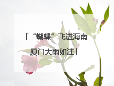 “蝴蝶”飞进海南 厦门大雨如注