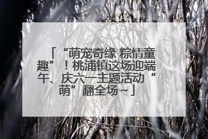 “萌宠奇缘 粽情童趣”！桃浦镇这场迎端午、庆六一主题活动“萌”翻全场～