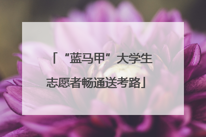 “蓝马甲”大学生志愿者畅通送考路