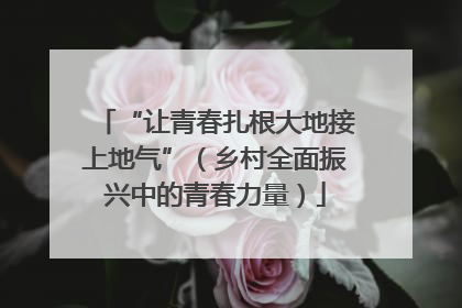 “让青春扎根大地接上地气”（乡村全面振兴中的青春力量）