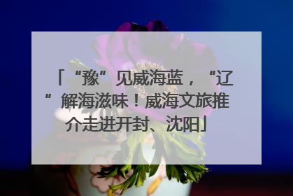 “豫”见威海蓝，“辽”解海滋味！威海文旅推介走进开封、沈阳