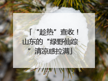 “趁热”查收！山东的“绿野仙踪”清凉感拉满
