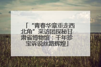 “青春华章重走西北角”采访团探秘甘肃省博物馆：千年珍宝诉说丝路辉煌