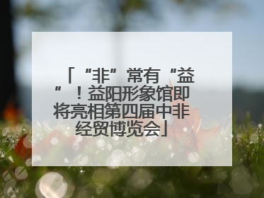 “非”常有“益”！益阳形象馆即将亮相第四届中非经贸博览会