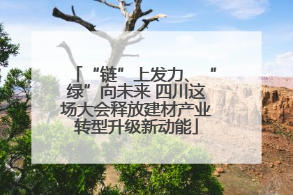“链”上发力、“绿”向未来 四川这场大会释放建材产业转型升级新动能