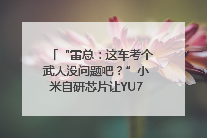 “雷总：这车考个武大没问题吧？”小米自研芯片让YU7会学习｜汽车科技