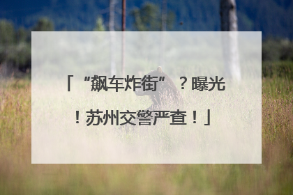 “飙车炸街”？曝光！苏州交警严查！