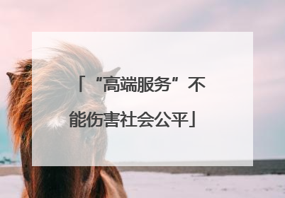 “高端服务”不能伤害社会公平