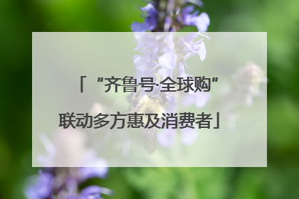 “齐鲁号·全球购”联动多方惠及消费者