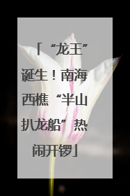 “龙王”诞生！南海西樵“半山扒龙船”热闹开锣