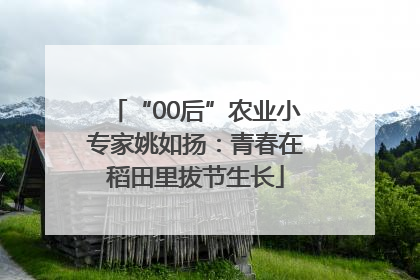 “00后”农业小专家姚如扬：青春在稻田里拔节生长