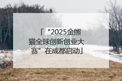 “2025金熊猫全球创新创业大赛”在成都启动