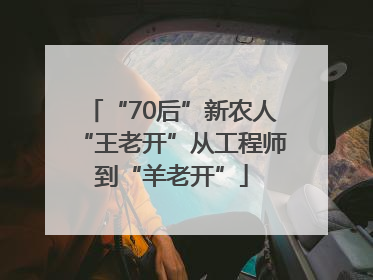 “70后”新农人“王老开”从工程师到“羊老开”