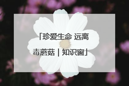 珍爱生命 远离毒蘑菇｜知识窗
