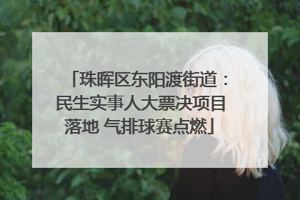 珠晖区东阳渡街道：民生实事人大票决项目落地 气排球赛点燃