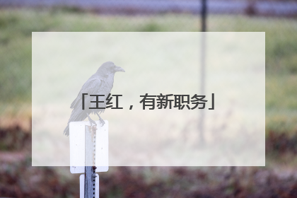 王红，有新职务