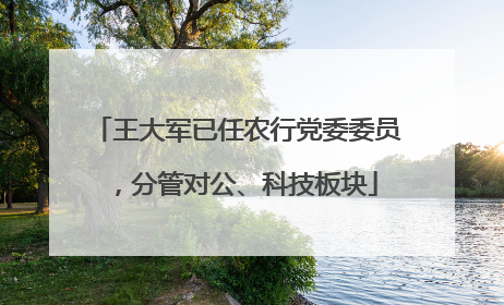 王大军已任农行党委委员，分管对公、科技板块